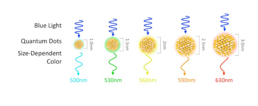 胶体量子点传感器，CQD，量子点CMOS